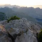 New! Orquidea - Walking Distance To 'la Sort' * Pollensa