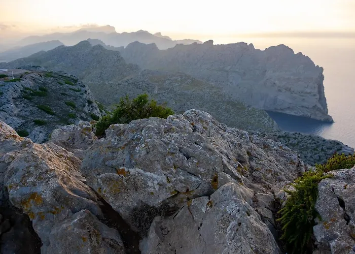 New! Orquidea - Walking Distance To 'la Sort' * Pollenca