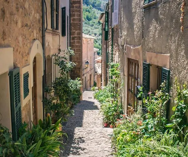 New! Orquidea - Walking Distance To 'la Sort' Βίλα Pollença